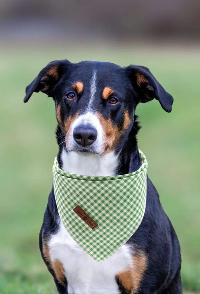 Cotton Holiday Dog Bandana