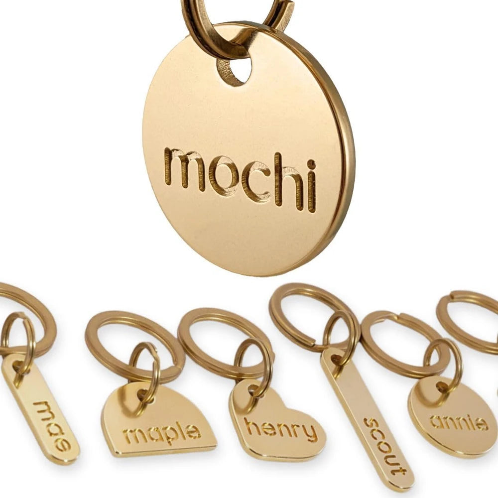 Solid Brass Pet Tag