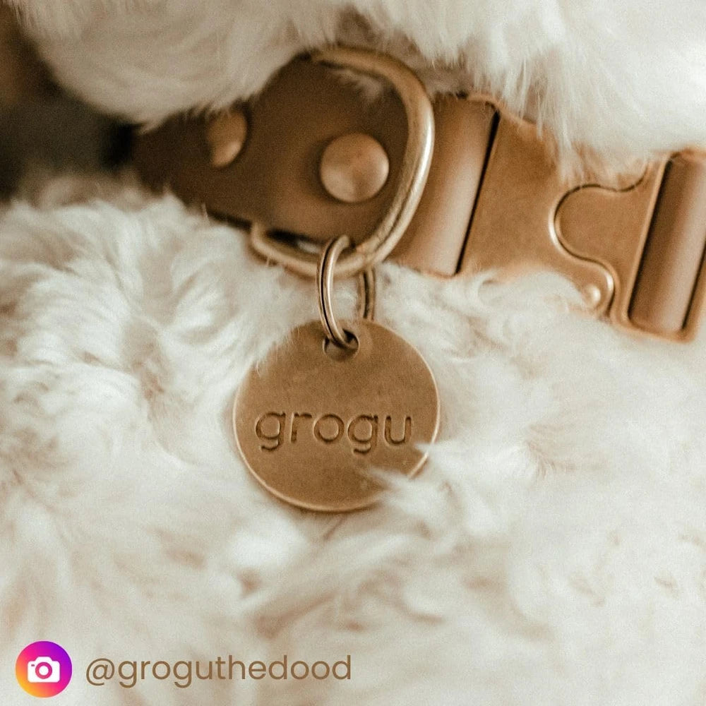 Solid Brass Pet Tag