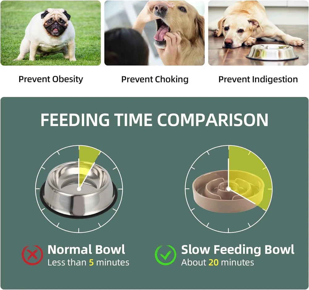 Havniva Elevated Ceramic Slow Feeder